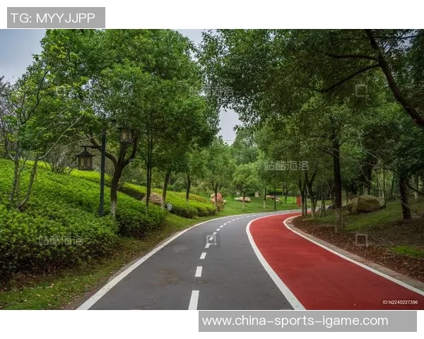 怀化室外健身器材的多样选择与使用指南助你健康生活新体验