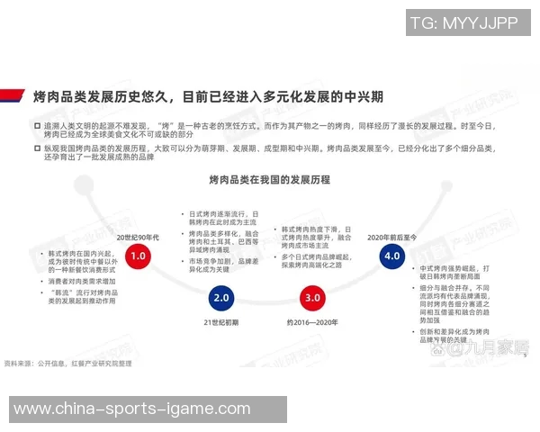 网球国家队教练的培养与发展之路探讨与展望